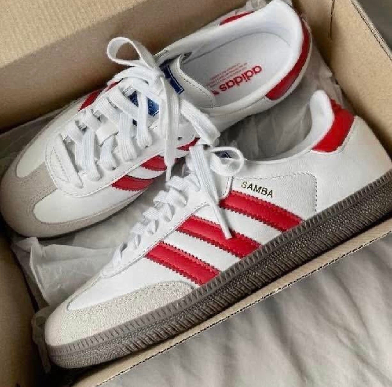 SAMBA BRANCO VERMELHO